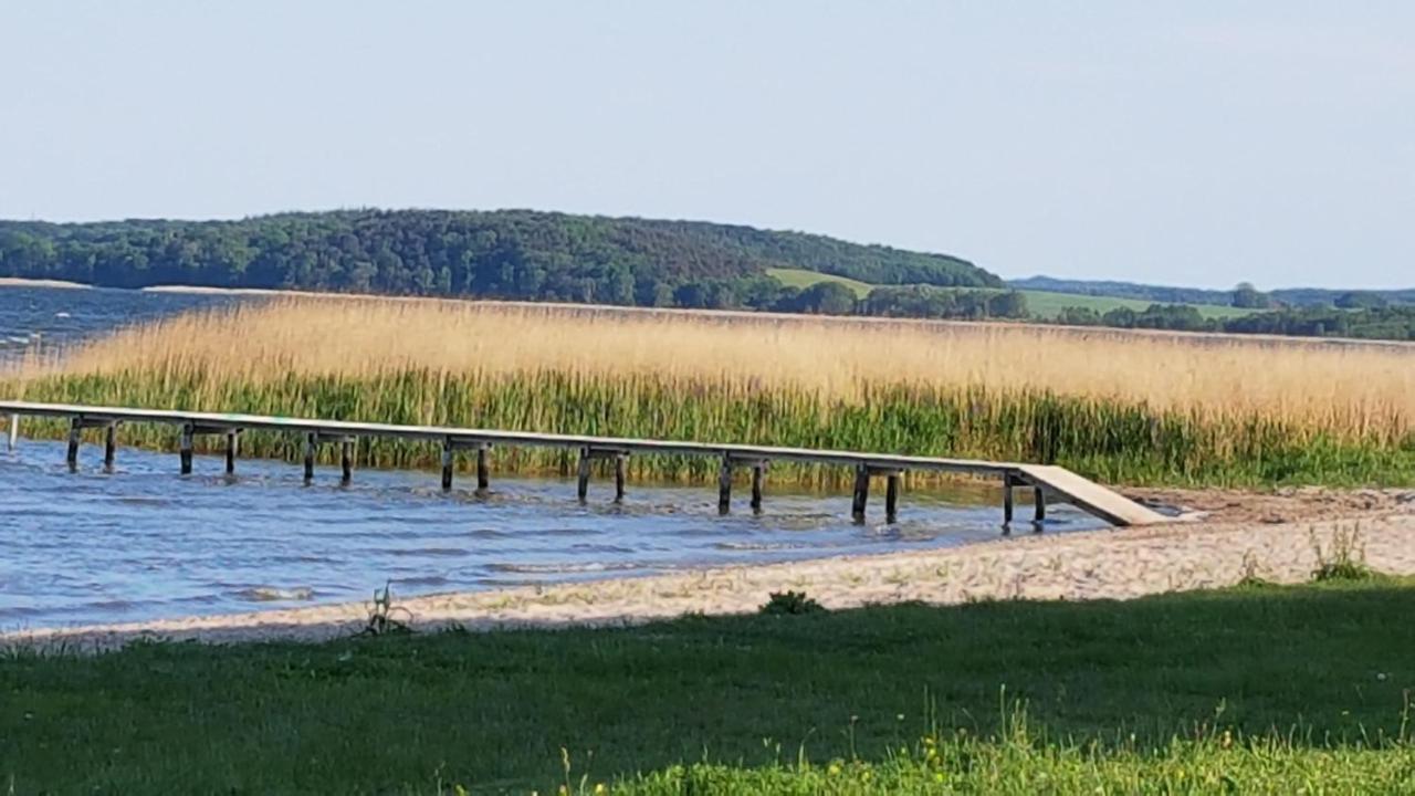 Boddenhus Auf Ruegen - Ferienwohnungen Und Pension Rappin Экстерьер фото
